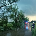 01.07.2022. Skutki burzy / Ochotnicza Straż Pożarna Kielce - Niewachlów