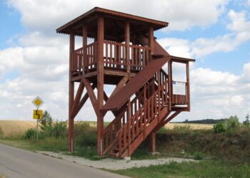 Wstępna koncepcja wieży widokowej w Kikowie w gminie Solec-Zdrój / Fot. Urząd gminy w Solcu-Zdroju