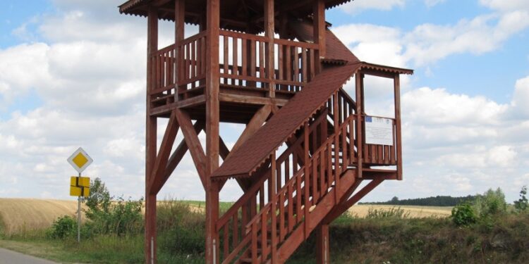 Wstępna koncepcja wieży widokowej w Kikowie w gminie Solec-Zdrój / Fot. Urząd gminy w Solcu-Zdroju