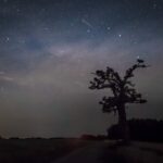 Fot. Witold Ochał - Twitter