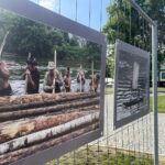 13.08.2022. Sandomierz. Wystawa „Drewno na wodzie” / Fot. Grażyna Szlęzak - Radio Kielce