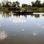 11.08.2022. Cigacice, woj. lubuskie. Rzeka Odra / Fot. PAP - Lech Muszyński