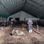 Fot. OTOZ Animals inspektorat w Olsztynie - Facebook