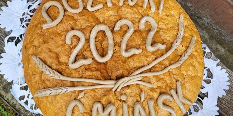 Święto Chleba w gminie Miedziana Góra. Był festyn rodzinny - Radio Kielce