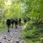 25.08.2022. Kwartalny marsz kondycyjny. / Fot. Centrum Przygotowań do Misji Zagranicznych