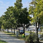 2022.08.2022. Kielce. Ulica Klonowa / Fot. Wiktor Taszłow - Radio Kielce