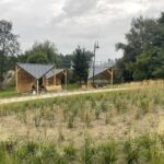 17.08.2022. Szydłów. Park miejski / Fot. Grażyna Szlęzak - Radio Kielce