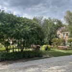 31.08.2022. Sandomierz. Sporna działka przy ulicy Żydowskiej / Fot. Grażyna Szlęzak - Radio Kielce