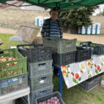 13.08.2022. Szydłów. Święto Śliwki