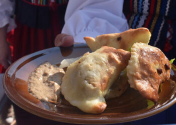 Bobowiaki – pyszne pierożki z bobem od gospodyń z Zespołu Pieśni i Tańca Ciekoty - Radio Kielce