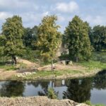 17.08.2022. Ćmielów. Prace archeologiczne na zamku Krzysztofa Szydłowieckiego / Fot. Emilia Sitarska - Radio Kielce