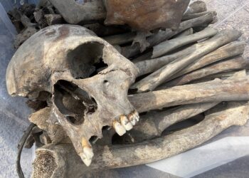 17.08.2022. Ćmielów. Prace archeologiczne na zamku Krzysztofa Szydłowieckiego / Fot. Emilia Sitarska - Radio Kielce