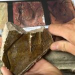 17.08.2022. Ćmielów. Prace archeologiczne na zamku Krzysztofa Szydłowieckiego / Fot. Emilia Sitarska - Radio Kielce
