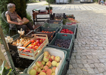 Ceny warzyw i owoców z zielonego rynku w Sandomierzu (23.08.2022) - Radio Kielce