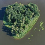 10.08.2022 Suchedniów. Zalew / Fot. Jarosław Kubalski - Radio Kielce