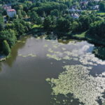 10.08.2022 Suchedniów. Zalew / Fot. Jarosław Kubalski - Radio Kielce