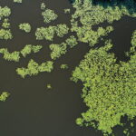 10.08.2022 Suchedniów. Zalew / Fot. Jarosław Kubalski - Radio Kielce