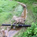 24.08.2022. Sandomierz. Skutki burz. Park Piszczele / Fot. Urząd Miasta Sandomierz