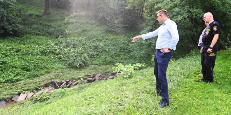 24.08.2022. Sandomierz. Skutki burz. Park Piszczele / Fot. Urząd Miasta Sandomierz