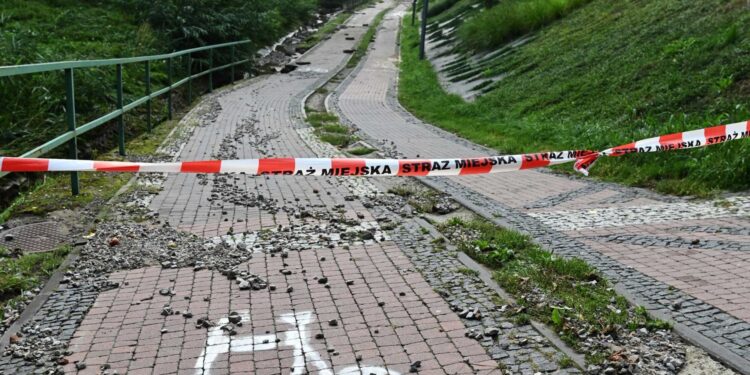 24.08.2022. Sandomierz. Skutki burz. Park Piszczele / Fot. Urząd Miasta Sandomierz