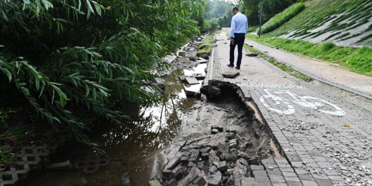 24.08.2022. Sandomierz. Skutki burz. Park Piszczele. Na zdjęciu: Marcin Marzec - burmistrz Sandomierza / Fot. Urząd Miasta Sandomierz