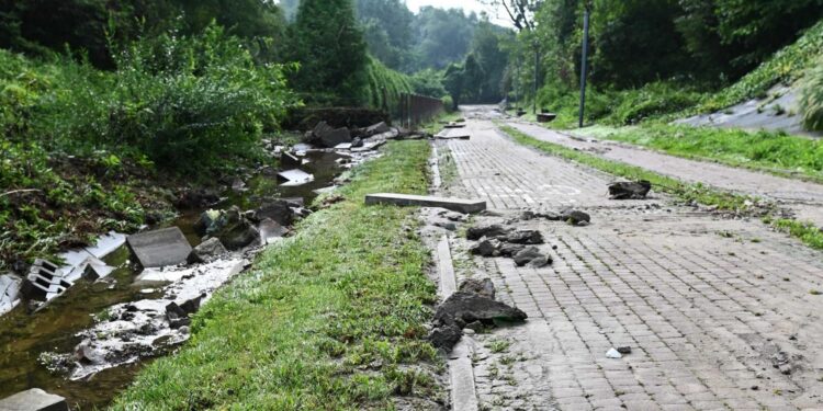 24.08.2022. Sandomierz. Skutki burz. Park Piszczele / Fot. Urząd Miasta Sandomierz