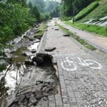 24.08.2022. Sandomierz. Skutki burz. Park Piszczele / Fot. Urząd Miasta Sandomierz