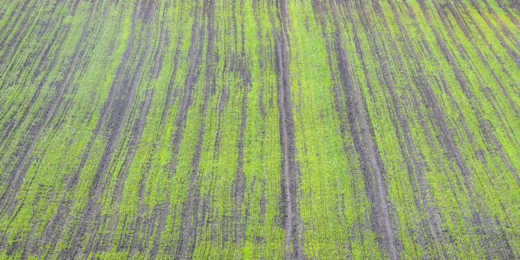 Jakie mamy gleby w Świętokrzyskiem. Które są najlepsze dla upraw? - Radio Kielce Jakie mamy gleby w Świętokrzyskiem. Które są najlepsze dla upraw? - Radio Kielce