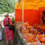 27.08.2022. Staszów. Dzień chleba / Fot. Marta Gajda-Kruk - Radio Kielce