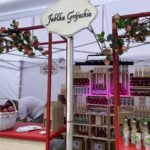 06.08.2022. Sandomierz. Festiwal Jabłonki Swawole / Fot. Grażyna Szlęzak - Radio Kielce