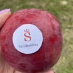 06.08.2022. Sandomierz. Festiwal Jabłonki Swawole / Fot. Grażyna Szlęzak - Radio Kielce