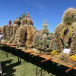 07.08.2022. Wilczyce. Dożynki / Fot. Grażyna Szlęzak - Radio Kielce