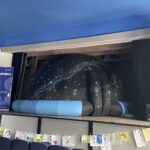 08.08.2022. Staszów. Mobilne planetarium Centrum Nauki Kopernik w Warszawie / Fot. Grażyna Szlęzak - Radio Kielce