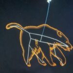 08.08.2022. Staszów. Mobilne planetarium Centrum Nauki Kopernik w Warszawie / Fot. Grażyna Szlęzak - Radio Kielce