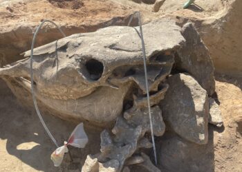 12.08.2022. Wilczyce. Prace archeologiczne / Fot. Grażyna Szlęzak - Radio Kielce