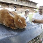 07.08.2022. Tokarnia. Park Etnograficzny. Niedziela ze św. Franciszkiem / Fot. Jarosław Kubalski - Radio Kielce