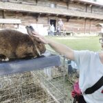07.08.2022. Tokarnia. Park Etnograficzny. Niedziela ze św. Franciszkiem / Fot. Jarosław Kubalski - Radio Kielce