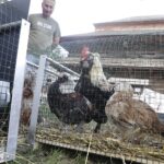 07.08.2022. Tokarnia. Park Etnograficzny. Niedziela ze św. Franciszkiem / Fot. Jarosław Kubalski - Radio Kielce