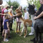07.08.2022. Tokarnia. Park Etnograficzny. Niedziela ze św. Franciszkiem / Fot. Jarosław Kubalski - Radio Kielce
