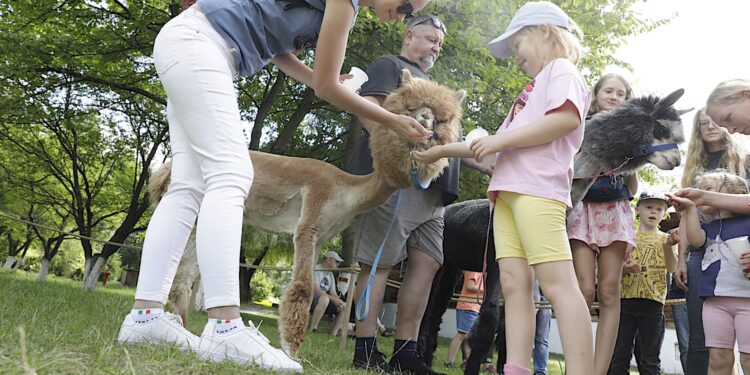 07.08.2022. Tokarnia. Park Etnograficzny. Niedziela ze św. Franciszkiem / Fot. Jarosław Kubalski - Radio Kielce