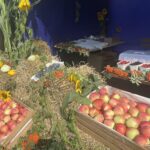 14.08.2022. Łoniów. Dożynki gminne. / Fot. Grażyna Szlęzak - Radio Kielce