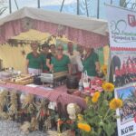 15.08.2022. Klimontów. Dożynki gminne. / Fot. Grażyna Szlęzak - Radio Kielce