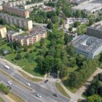 19.08.2022. Kielce. Skrzyżowanie ulic Jagiellońskiej i Karczówkowskiej. Drzewa przeznaczone do wycinki / Fot. Jarosław Kubalski - Radio Kielce