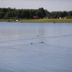 05.08.2022. Strawczyn. Zalew / Fot. Wiktor Taszłow – Radio Kielce