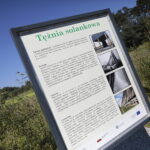 05.08.2022. Strawczyn. Zalew / Fot. Wiktor Taszłow – Radio Kielce