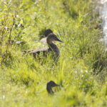 05.08.2022. Strawczyn. Zalew / Fot. Wiktor Taszłow – Radio Kielce