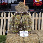 21.08.2022. Strawczyn. Święto Gminy Strawczyn „Strawczynada” / Fot. Wiktor Taszłow - Radio Kielce