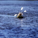 07.08.2022 Kielce. Piknik nad zalewem / Fot. Jarosław Kubalski - Radio Kielce