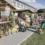 „Piękni i Młodzi” na święcie plonów - Radio Kielce