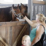 16.08.2022 Michałów. Stadnina koni. Dzień otwarty dla zwiedzających / Fot. Jarosław Kubalski - Radio Kielce